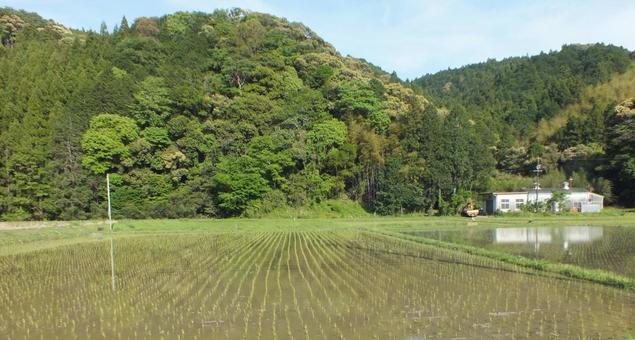 田植えが終わった水田と春の山 田植えが終わった水田と春の山 水田,田んぼ,稲作の写真素材