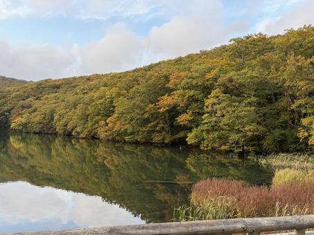 秋の蔦沼　つたぬまの写真