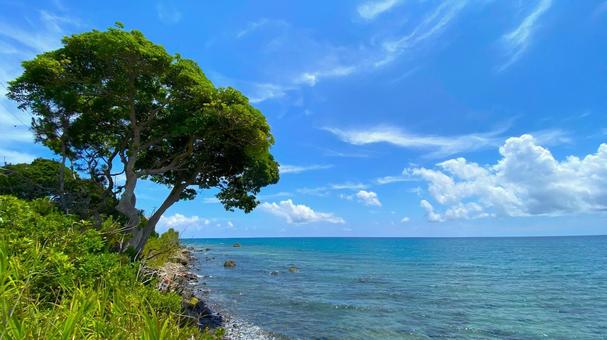 夏の奥能登　内浦の風景：2 能登,奥能登,珠洲の写真素材