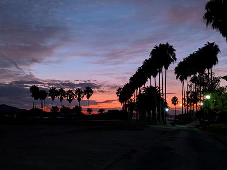 夕日 夕日,夕焼け,空の写真素材