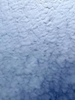巻積雲(うろこ雲)1 巻積雲(うろこ雲)1 巻積雲,うろこ雲,いわし雲の写真素材