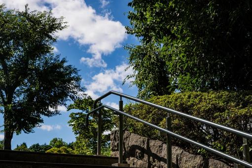 Blue sky, clouds and greenery (Park 1), JPG