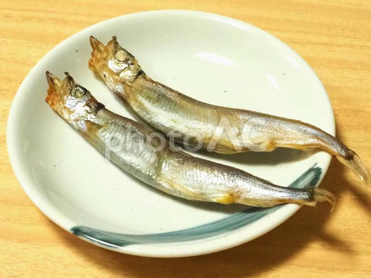 焼いた子持ちししゃも ししゃも,焼き魚,子持ちししゃもの写真素材
