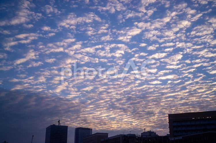 横浜街散歩 夕焼け,空,自然の写真素材