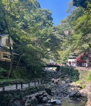 箕面公園 箕面公園,公園,川の写真素材