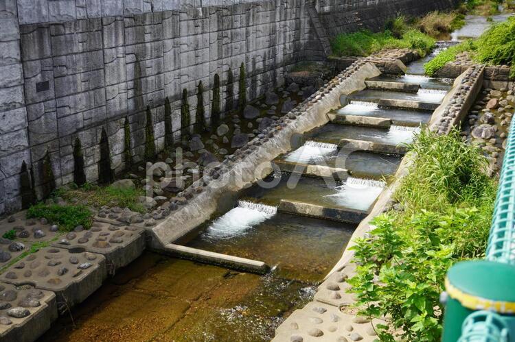 湯殿川の中流の流れ 湯殿川,川,自然の写真素材
