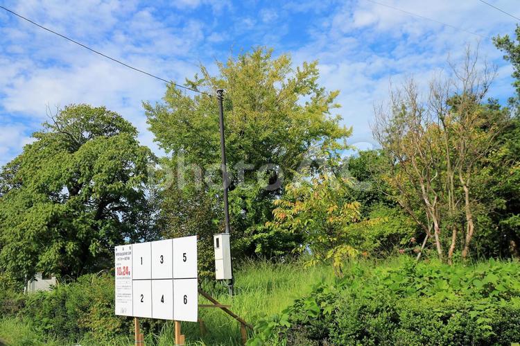 選挙のポスター掲示板の立つ公園 選挙,ポスター,ポスター掲示板の写真素材