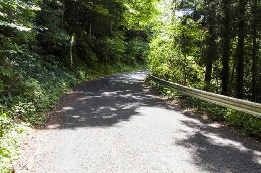 石巻山12(豊橋市) 石巻山12(豊橋市) 石巻山,ハイキング,トレッキングの写真素材