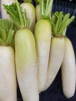 大根 大根,食べ物,作物の写真素材