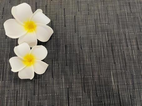 Plumeria, JPG Plumeria, JPG