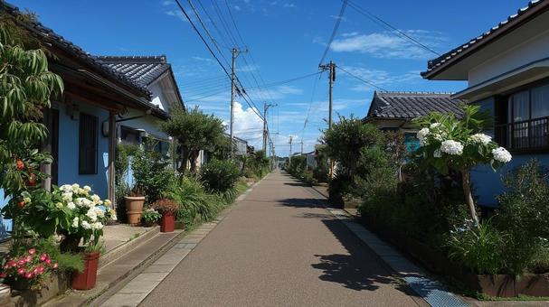 晴れた田舎の住宅街 晴れた田舎の住宅街の写真