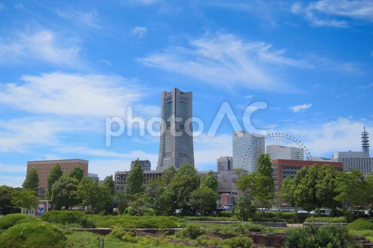 緑が濃い夏の日の横浜みなとみらい みなとみらい,ランドマークタワー,パシフィコ横浜の写真素材