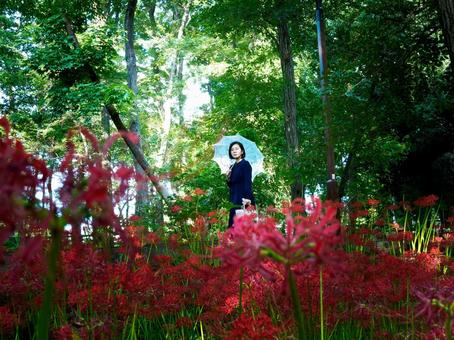 40:彼岸花を静かに見つめる女性 40:彼岸花を静かに見つめる女性 彼岸花,ミステリアス,悲しげの写真素材