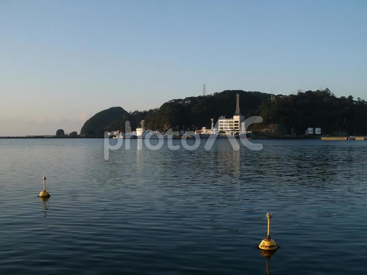 下田港の夜明けと巡視船、伊豆半島 下田港,夜明け,巡視船の写真素材