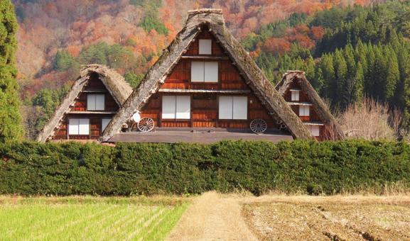 白川郷 白川郷,世界遺産,茅葺きの写真素材