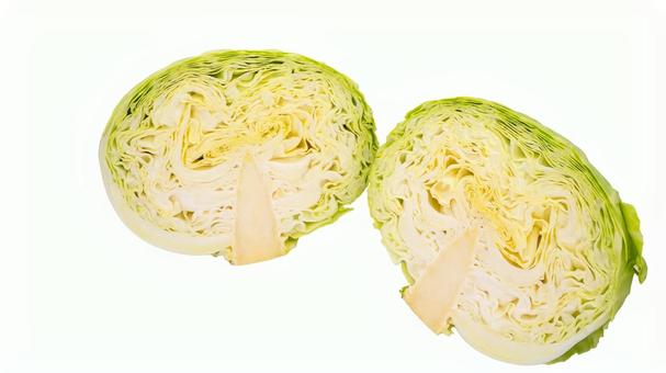 半分に切ったキャベツ 白背景 半分に切ったキャベツ 白背景の写真