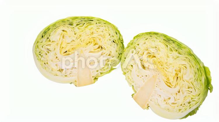 半分に切ったキャベツ　白背景 キャベツ,野菜,食材の写真素材