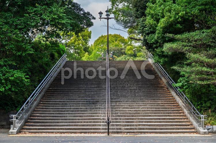公園の階段 階段,公園,上野の写真素材