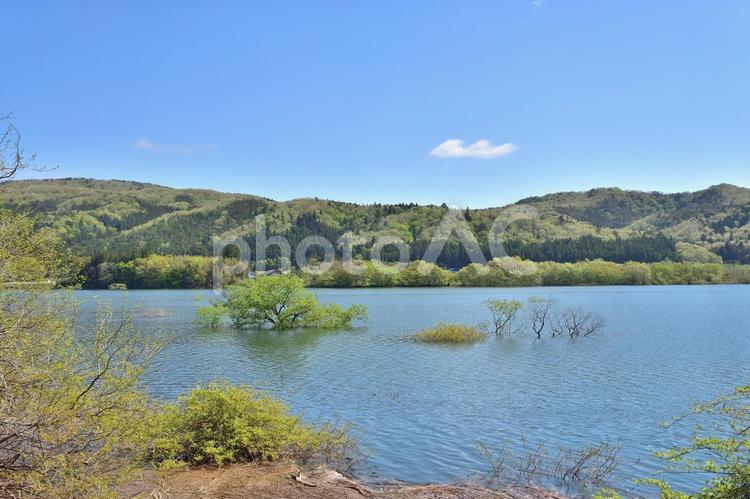 宮城県仙台市青葉区　大倉ダム　ダム湖　４ 大倉ダム,ダム,ダム湖の写真素材