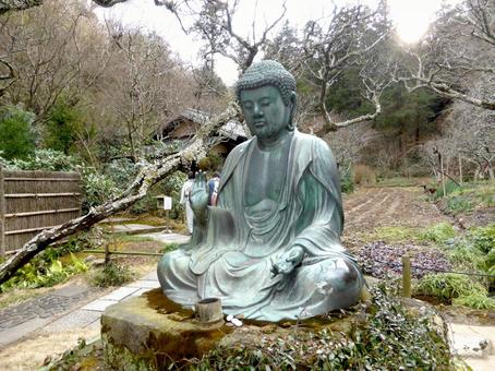 北鎌倉東慶寺境内に鎮座する青銅製仏像 北鎌倉東慶寺境内に鎮座する青銅製仏像 東慶寺,仏像,青銅の写真素材