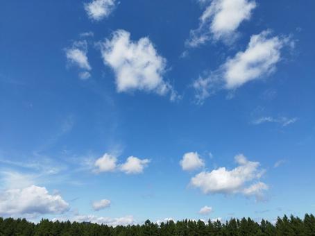 青空と雲 青空と雲 青空,晴れ,青い空の写真素材