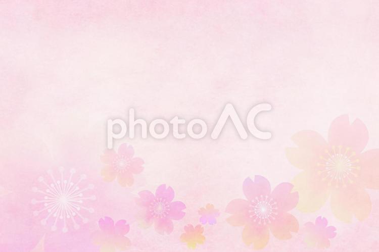 桜の和風背景ピンクの可愛い春の壁紙 桜,背景,さくらの写真素材