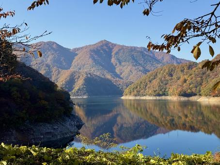秋の福井の九頭竜ダム　紅葉に色づく湖 秋,晩秋,九頭竜ダムの写真素材