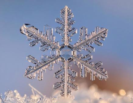 雪の結晶の接写素材 雪の結晶の接写素材の写真