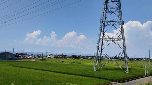 夏の景色 夏の景色の写真