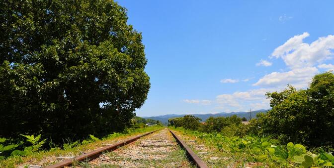 線路は続く 線路,廃線,自然の写真素材