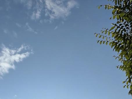 夏の午後の青空 夏の午後の青空 夏,午後,青空の写真素材