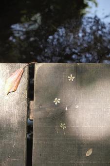 橋の足元 橋の足元 落ち葉,紅葉,自然の写真素材