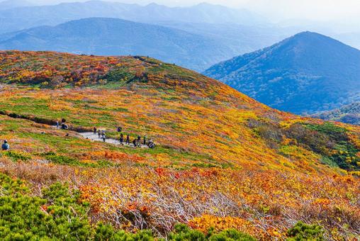 秋色に染まる 栗駒山の絶景 秋色に染まる 栗駒山の絶景の写真