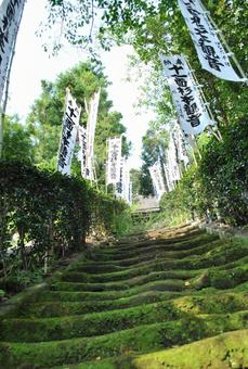苔の生す階段 苔の生す階段の写真