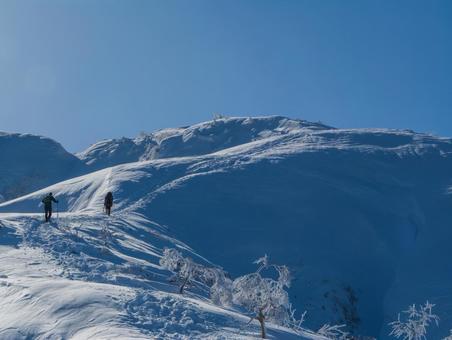 厳冬期の荒島岳登山道 荒島岳,登山,厳冬期の写真素材