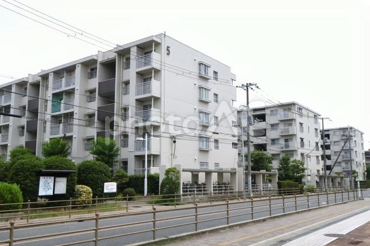 昭和レトロな団地が並ぶ風景(大阪） 団地,昭和,レトロの写真素材