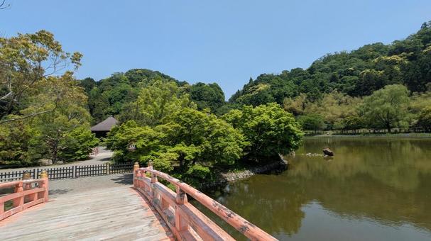 国宝 白水阿弥陀堂 初夏 国宝 白水阿弥陀堂 初夏 白水阿弥陀堂,観光地,池の写真素材
