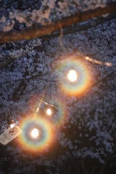Photo, dumbbell, lanthanum, bonbori lantern, 
