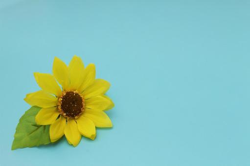 青空と黄色いひまわり 青空と黄色いひまわり ひまわり,花,黄色の写真素材