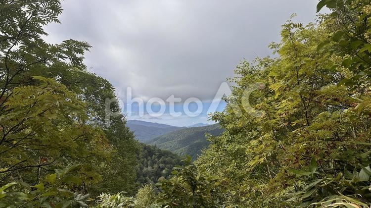 群馬県尾瀬の自然4 群馬県,尾瀬,尾瀬ヶ原の写真素材