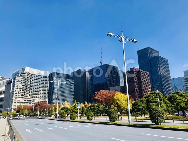 東京の秋の街並み 東京,道路,紅葉の写真素材
