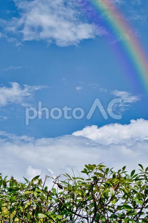 田舎　風景　青空　虹 虹,青空,田舎の写真素材
