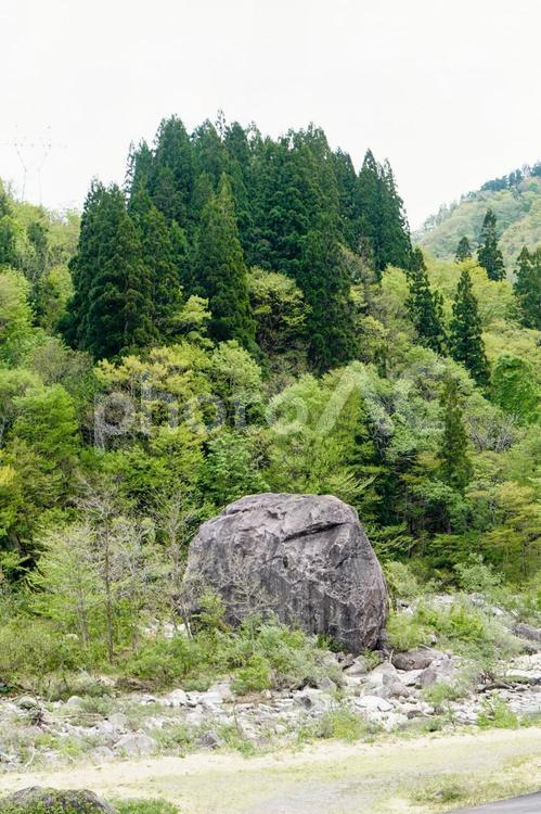 石川県白山市白峰・手取川と百万貫の岩 白山,手取川,百万貫の岩の写真素材