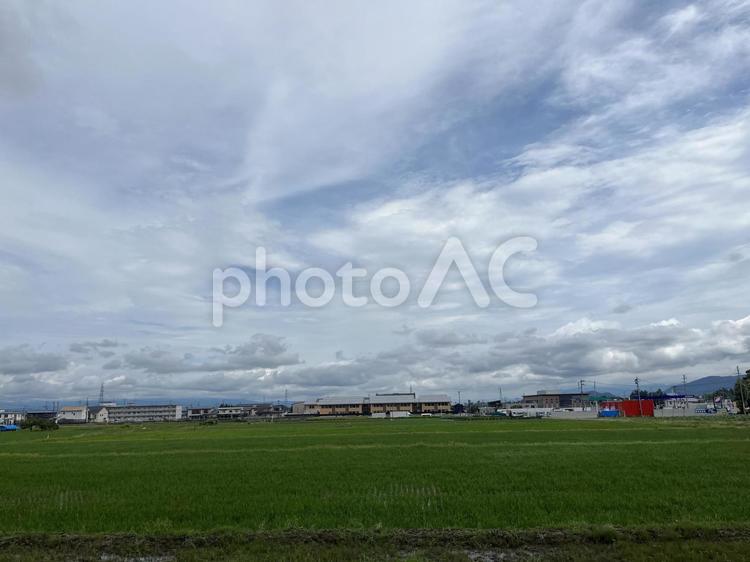 雨の日の空と田んぼ 空,自然,風景の写真素材