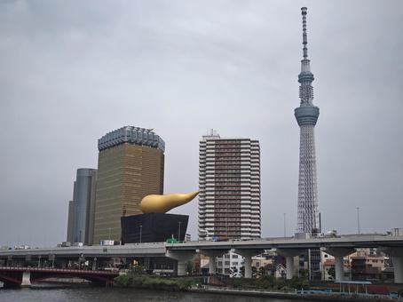 浅草の駒形橋から臨む東京スカイツリー 浅草の駒形橋から臨む東京スカイツリーの写真