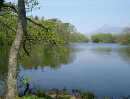 春を迎えた湖畔 春を迎えた湖畔の写真