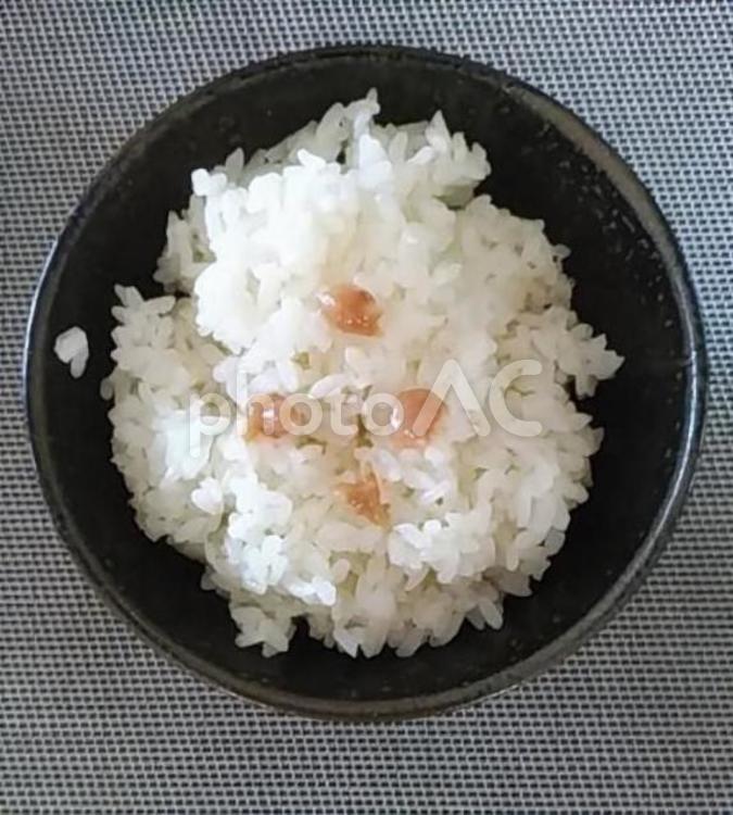 七分突きあきたこまちご飯に梅肉 ご飯,朝ごはん,梅肉の写真素材