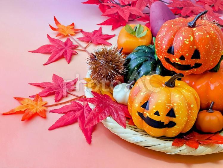 秋イメージ（ハロウィン）8 秋,ハロウィン,ハロウィーンの写真素材
