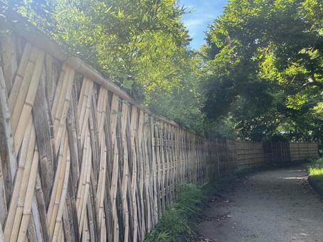 小道を行く 自然,風景,小屋の写真素材