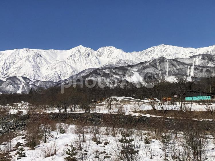 冠雪の北アルプス　長野県白馬村 冠雪,北アルプス,山並みの写真素材